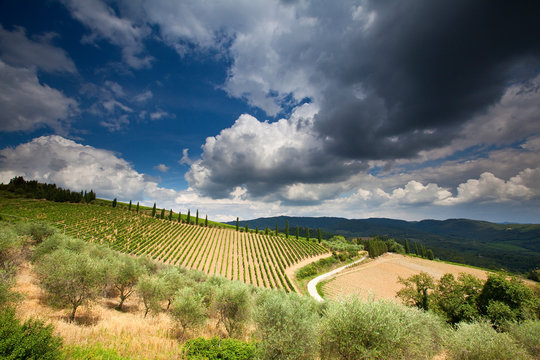 Countryside in Chianti, Tuscany, Italy