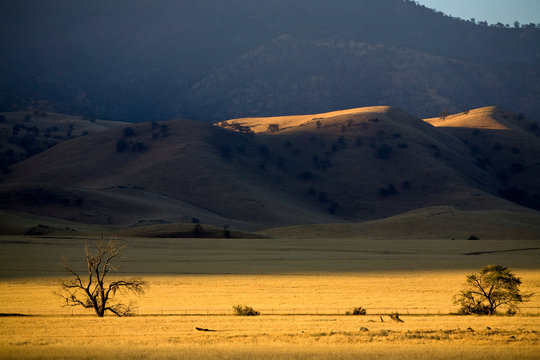First light on the San Joaquin Valley grasslands on the Tejon Ranch, California.
