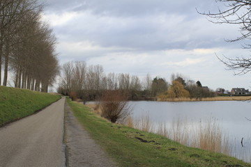 a large wetland area in the dutch countryside near hulst in fall