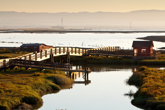 Don Edwards San Francisco Bay National Wildlife Refuge, Fremont, California.