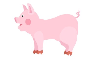 pink painted young pig bright flat
