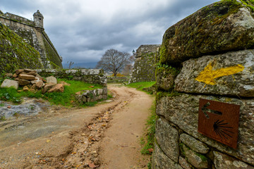 Along the Camino de Santiago