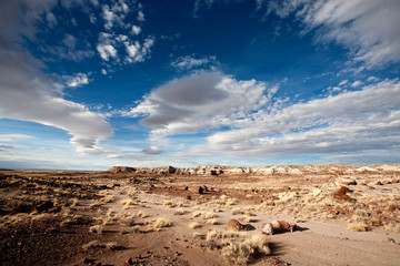 PETRIFIED FOREST NATIONAL PARK, ARIZONA.