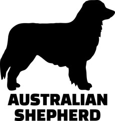 Australian Shepherd silhouette