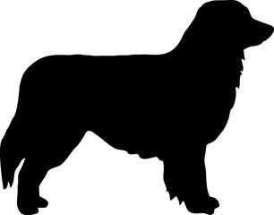 Australian Shepherd silhouette