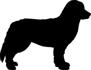 Bernese Mountain silhouette black