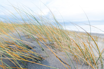 Am Strand von Blavand, D&auml;nemark