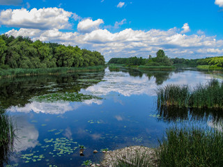 Obraz na płótnie Canvas Views of Hungarian nature reserve Kis Balaton (Little Balaton)in the near from Lake Balaton with blue Sky ,green Vegetation and blue Water