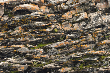 Textured basalt background thin stone fibers in the cut. natural volcanic formations