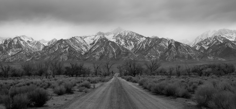The old orchard at Manzanar.