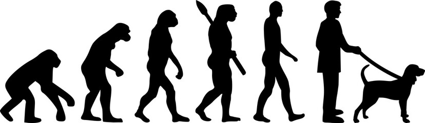 Black and Tan Coonhound evolution