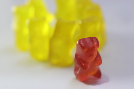 prejudiced jelly bears