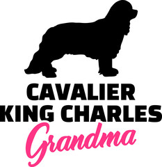 Cavalier King Charles Grandma with silhouette