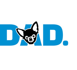 Fototapeta premium Chihuahua dad in blue