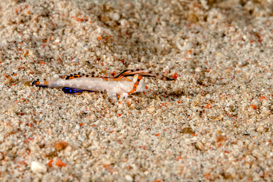 Hat einwenig gedauert