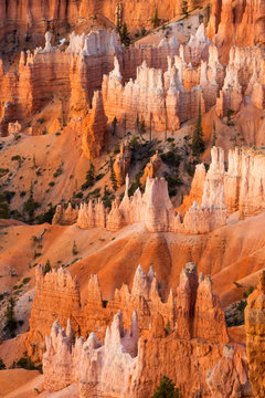 Bryce National Park, Utah.