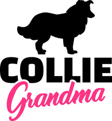 Collie Grandma with silhouette