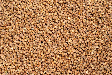 background, texture - buckwheat groats