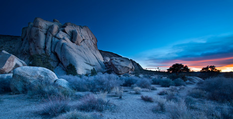 Joshua Tree National Park, CA.