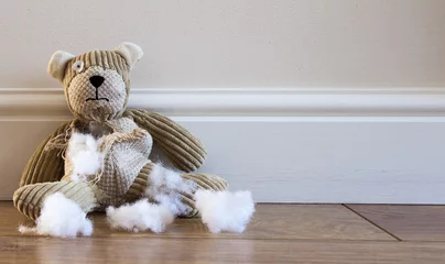 Fotobehang Beer Sad, Abandoned and Damaged Teddy Bear with stuffing falling out  © teamjackson