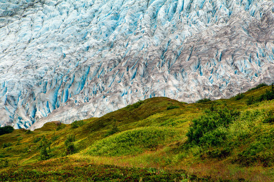 Kenai Fjords National Park, Seward, Alaska: Stark contrasts of bright green tundra against the blue of Exit Glacier.