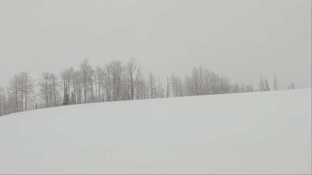 Drive Plate-POV-Passing leafless aspen trees on snowy mountain side on a gray gloomy winter day