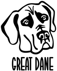 Great Dane head