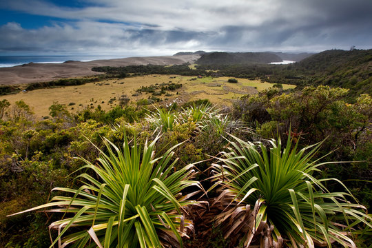 Valdivia Coastal Reserve, Chile: Scenic landscapes along the reserve.