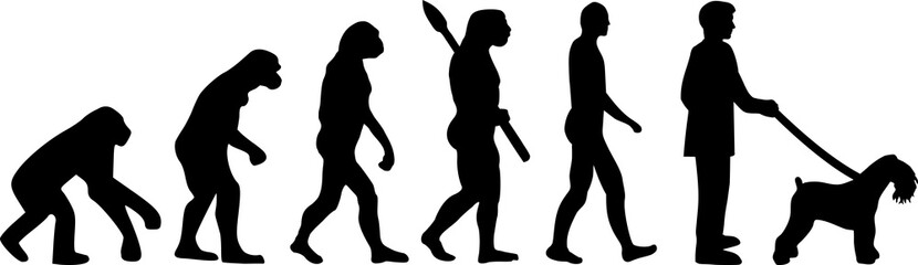 Kerry Blue Terrier evolution