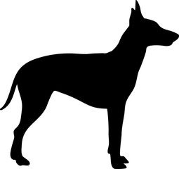 Manchester Terrier silhouette black