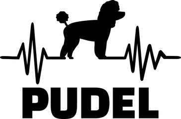 Poodle frequence german