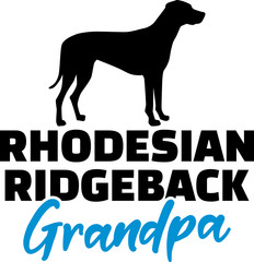 Obraz premium Rhodesian Ridgeback Grandpa with silhouette