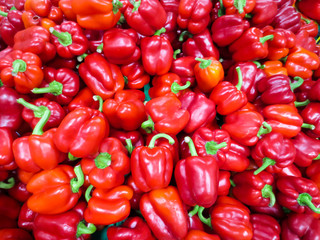 Obraz na płótnie Canvas Laying out sweet red pepper on the food market.