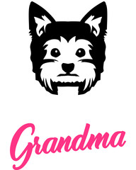 Fototapeta premium Yorkie Grandma with silhouette