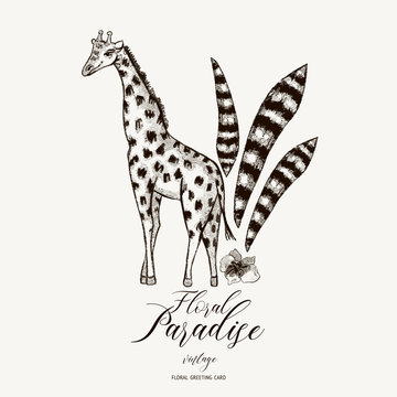 Natural vector Exotic Tropical template with leaves and giraffe