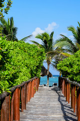 Fototapeta premium A boardwalk path leading to the beautiful beach 