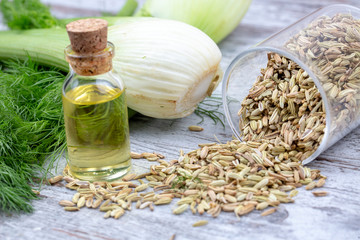 A bottle of fennel essential oil with fresh green fennel twigs and fennel seeds in the background - obrazy, fototapety, plakaty
