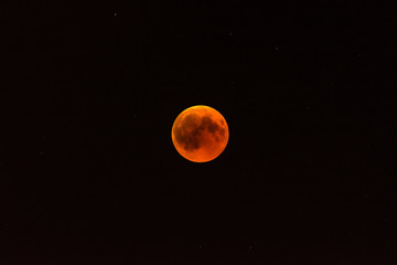 Piękny czerwony księżyc