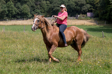 Schönes braunes Pferd mit Reiterin/Besitzerin