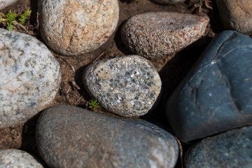 Coloured sea stones at the garden. Landscape design. j