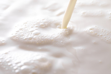 Steam of Milk Being Poured in a Bowl Milk