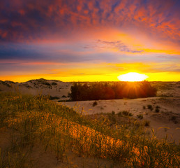 summer sandy prairie landscape at the sunset