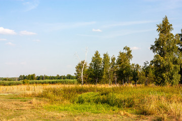Fototapeta premium Summer day landscape