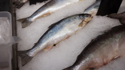 Fresh fish on ice for sale at market. Bunch of raw frozen fish on ice. Closeup of raw fresh mackerel fishes on ice in the market