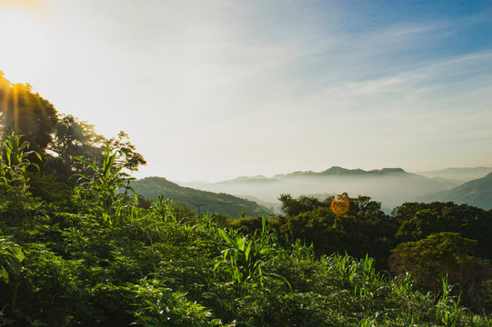 oggy Mountain View with Tropical Trees &ndash; Guatire, Venezuela