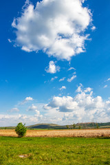 Obraz premium Beautiful white fluffy May cumulus clouds over Dragoman natural karst Marsh - the biggest natural karst wetland in Bulgaria