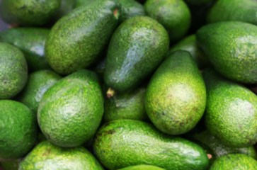 Top view of fresh green avocados in the market place. Lots of green avocados, pattern of green fruits in the shop