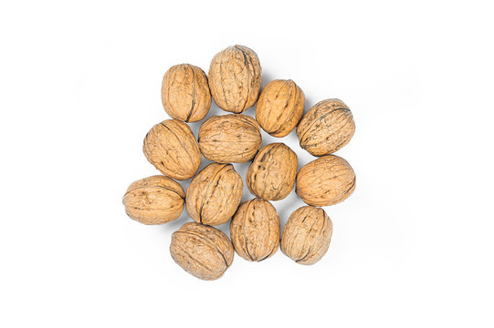 Whole big walnut kernel with thin shell isolated over white . healthy food for brain. Fresh walnuts background
