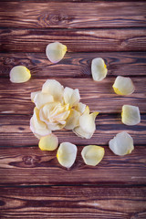 Vertical photo. Spiral made of beige rose petals laying on wooden table. Top view, flat lay