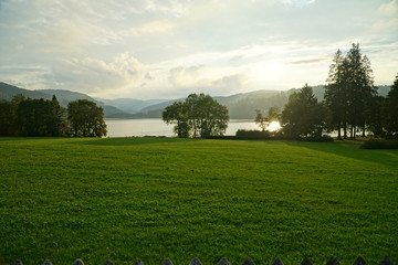 Green meadow in front of Titisee lake in the evening